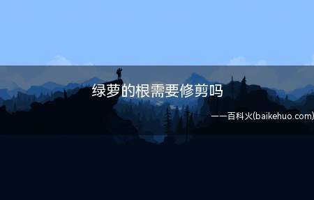 叶子生长不良,可以检查一下根系,有烂根问题的需要进行修剪
