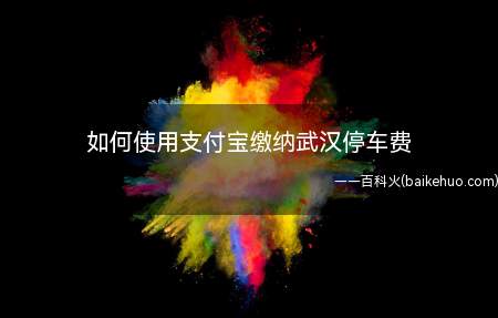 如何使用支付宝缴纳武汉停车费(支付宝可以缴纳武汉路边停车的停车费了)