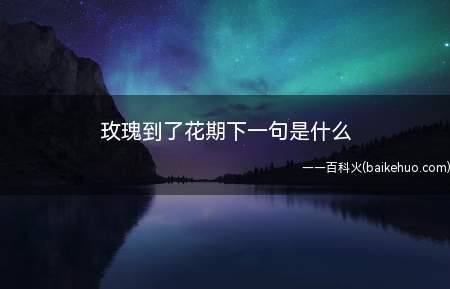 玫瑰到了花期下一句是什么