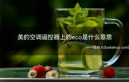 美的空调遥控器上的eco是什么意思