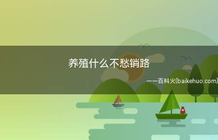 养殖什么不愁销路(养殖什么不愁销路畜牧业的主要特点是什么)