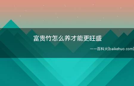 富贵竹怎么养才能更旺盛