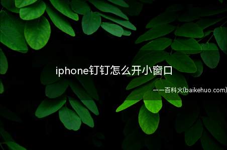 iphone钉钉怎么开小窗口(iphone用户如何用钉钉开小窗口)