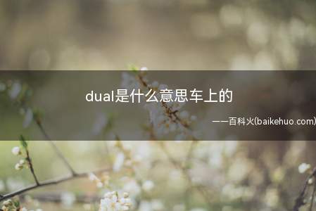 dual是什么意思车上的