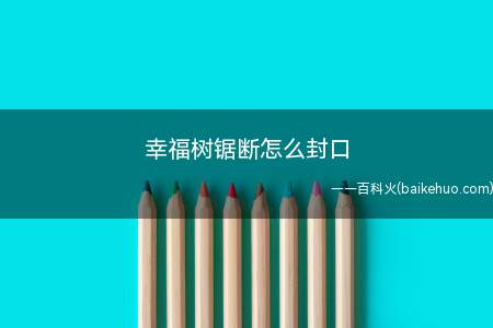 幸福树锯断怎么封口(幸福树锯断后在伤口处涂抹上愈伤防腐膜就行)