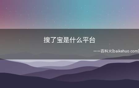 搜了宝是什么平台(搜了宝是什么平台让我们一起了解一下吧)