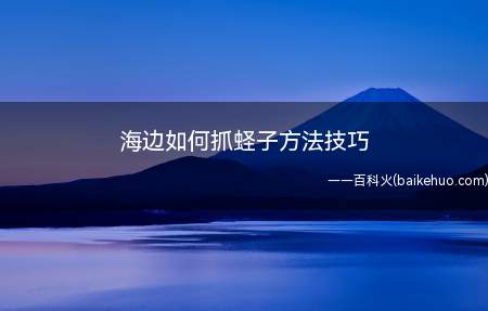 海边如何抓蛏子方法技巧(海边如何抓蛏子,方法技巧)