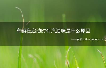 汽油燃烧不充分、油箱漏了、汽油碳罐问题都是车辆在启动时有汽油