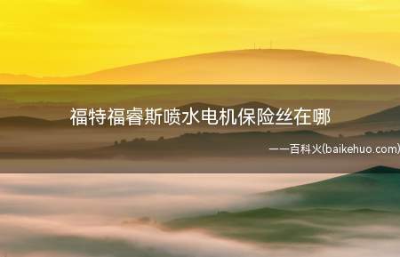 福睿斯车上都有两个保险丝盒,一个负责汽车外部电器的安全