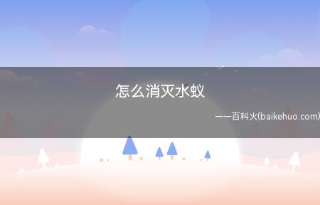 怎么消灭水蚁