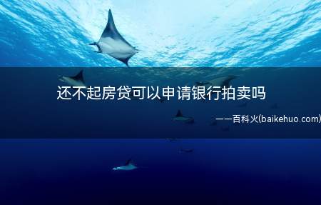 可以让银行拍卖房子,或者说房贷一直还不上银行会主动起诉到法院