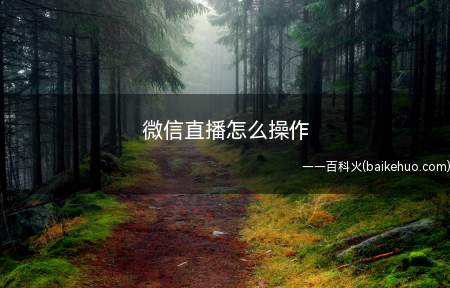 微信直播怎么操作(微信直播带货操作方法介绍)
