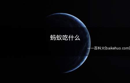 蚂蚁吃什么(蚂蚁喜欢吃甜的东西,比如蜂蜜、糖等)