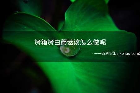 烤箱烤白蘑菇该怎么做呢(撒点胡椒粉椒盐粉,有点味道,不会腻)