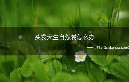 头发天生自然卷怎么办(发质分类的洗发水和护发素)