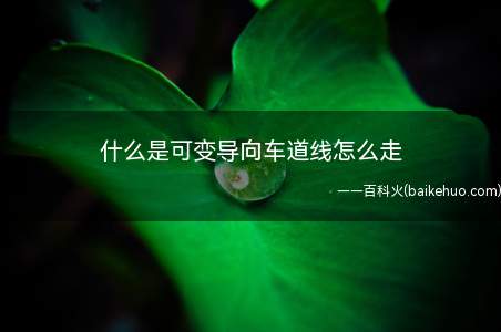 可变向车道线一般都是实线内还有倾斜的短实线,形状有点像趴倒的