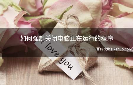 如何强制关闭电脑正在运行的程序