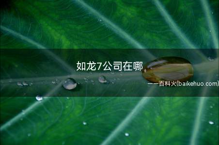 如龙7公司在哪(如龙7公司在哪 公司位置介绍)