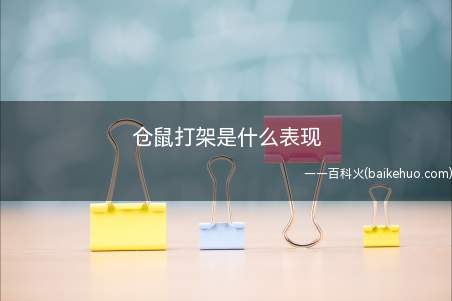 仓鼠打架是什么表现(仓鼠打架前会吱叫,然后优势方开始追咬弱势方)