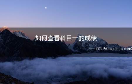 如何查看科目一的成绩(怎么查看科目一成绩分数)