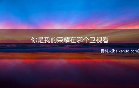 你是我的荣耀在哪个卫视看