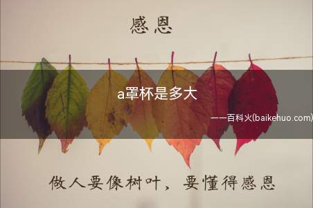 a罩杯是多大(a罩杯是多大详细解答)
