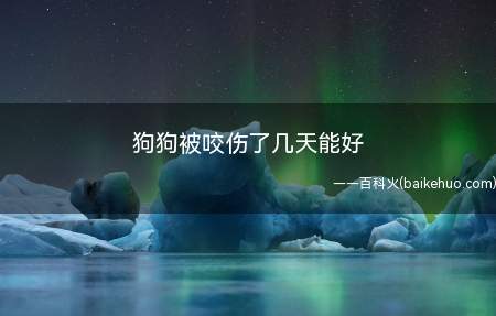 狗狗被咬伤了几天能好(狗狗被咬伤痊愈时间是需要根据咬伤的程度来决定的)