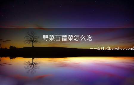 野菜苜蓿菜怎么吃(野菜苜蓿菜怎么吃共有五步)