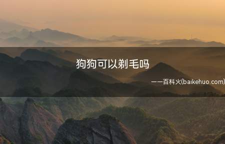 狗狗可以剃毛吗
