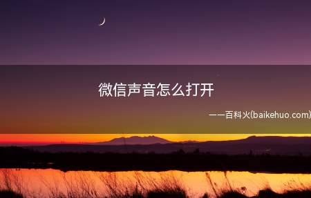 微信声音怎么打开(怎么打开微信声音在手机界面)