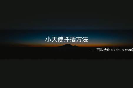 小天使扦插方法(小天使扦插时间可选在5)