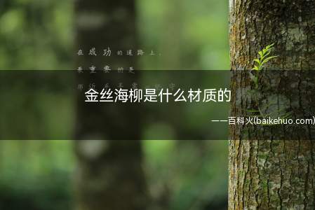 金丝海柳是什么材质的