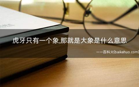 虎牙只有一个象,那就是大象是什么梗(一种装逼方法,出自有一段时间)
