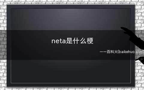 neta是什么梗(日语的发音,在中文里关键操作方法)