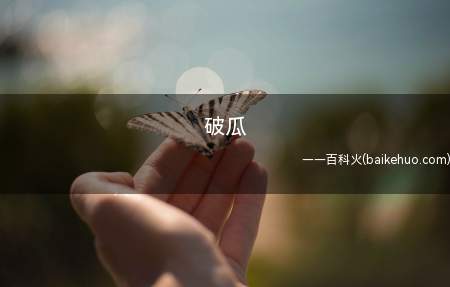 破瓜是什么梗(喻女子破身,破处的文雅说法)