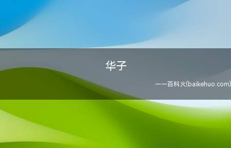 华子是什么梗(抖音某博主在视频中扮演)