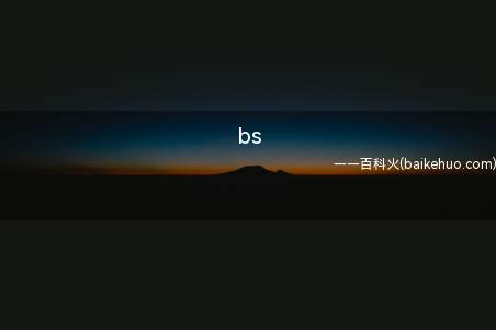 bs是什么意思？
