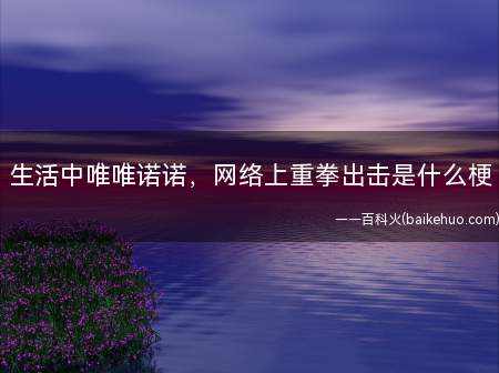 生活中唯唯诺诺,网络上重拳出击是什么意思(讥讽一些网络喷子因为网络的相对性群体极化,及发表不合理言论成)