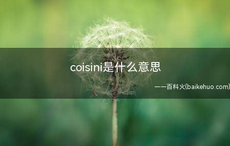 coisini是什么意思（coisini在愛爾蘭語中,是怦然心動的含意）