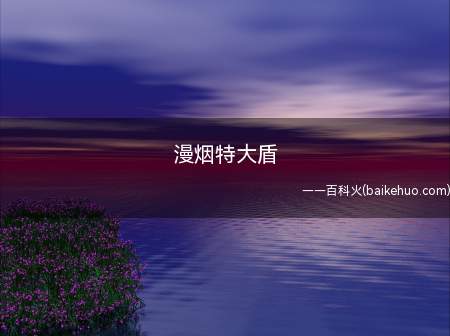 漫烟特大盾是什么意思(指黑魂武器装备漫烟超大剑,二代是反叛勇士)