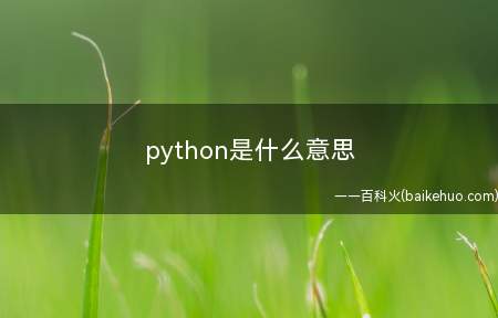 python是什么梗（一个奇妙方便快捷的语言表达）