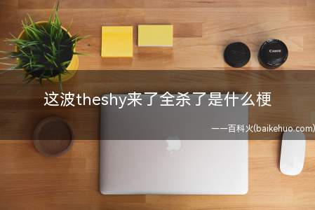 这波theshy来了全杀了是什么梗（没脑子吹IG参赛选手theshy的一个梗）