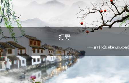 打野是什么梗(抖音短视频热梗,处对象一定要找刷野的,由于除开刷野,没有人可)