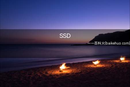 SSD是什么意思（汤母克莱西:彩虹六号 pvp方式中,性能对电脑的硬盘载入速度）