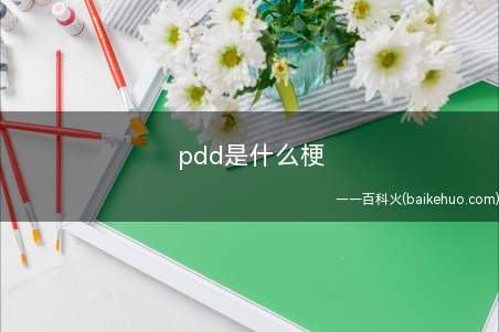 pdd是什么意思(LOL职业玩家刘谋打职业时的id是pdd)