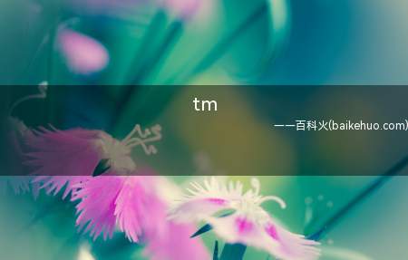 tm是什么梗（汤姆的简写,常见做猫捉老鼠）