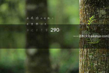 290是什么梗(290=250 38 2)