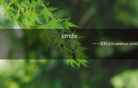 smdx是什么意思（“死妈东西”拼音首写缩写）
