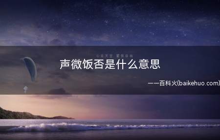 声微饭否是什么意思(你讲话的响声过小,是否没用餐?)