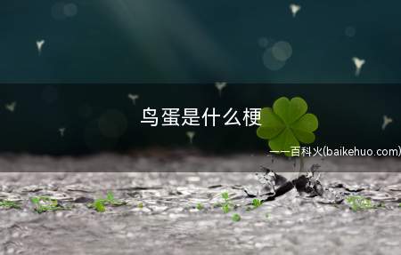 鸟蛋是什么意思(指B站up主泠鸢yousa粉丝)